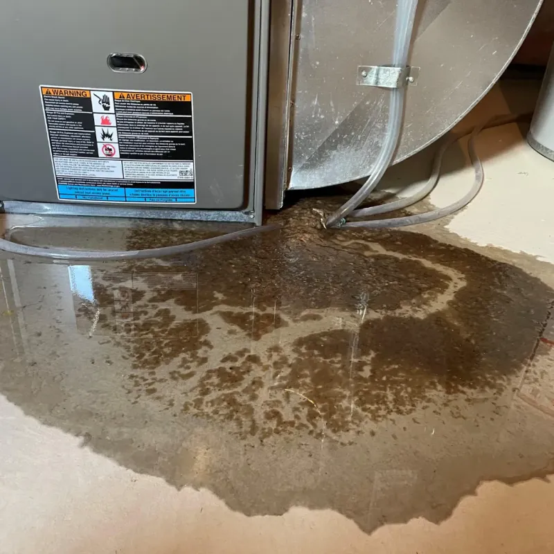 Appliance Leak Cleanup in Holly Springs, NC